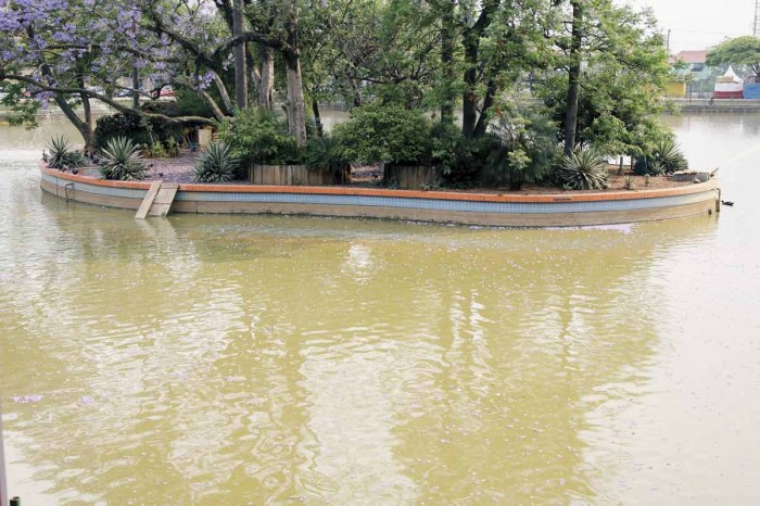 lago-dos-patos-guarulhos