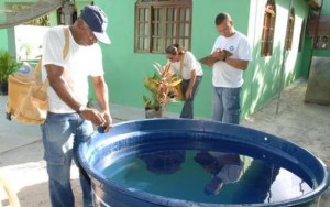 dengue-guarulhos