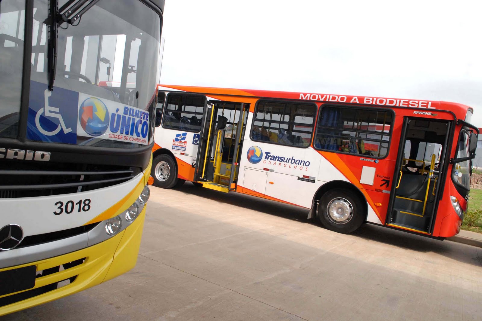 onibus-guarulhos