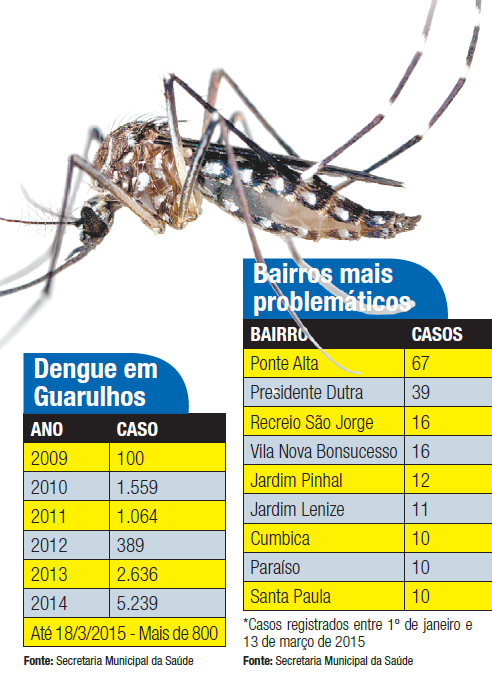 dengue-guarulhos