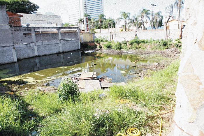 dengue-exercito-guarulhos