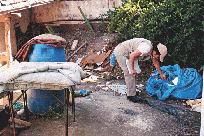 dengue-guarulhos