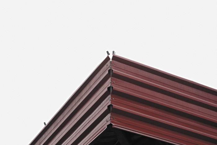 guarulhos-pombos