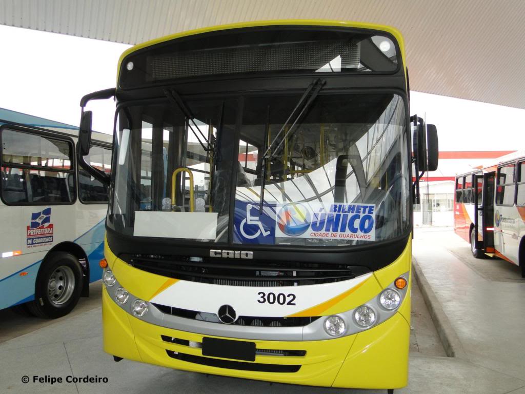 onibus-pimentas