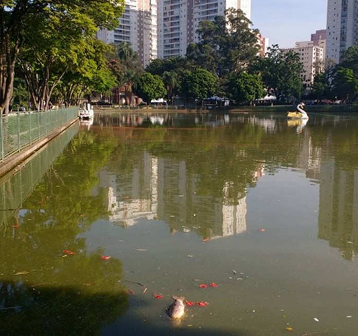 mancha-lago-dos-patos