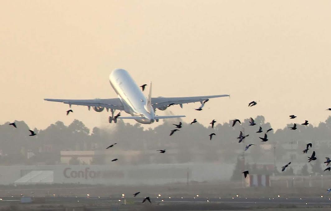 aeronaves-em-guarulhos