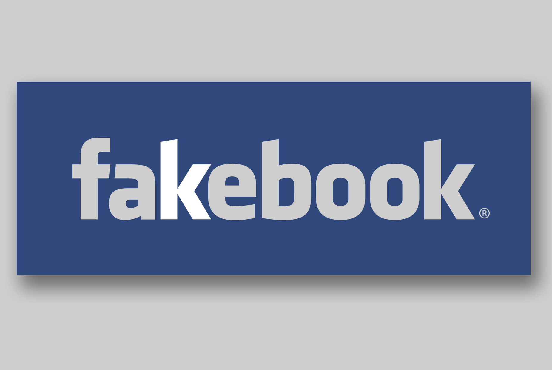 fakebook