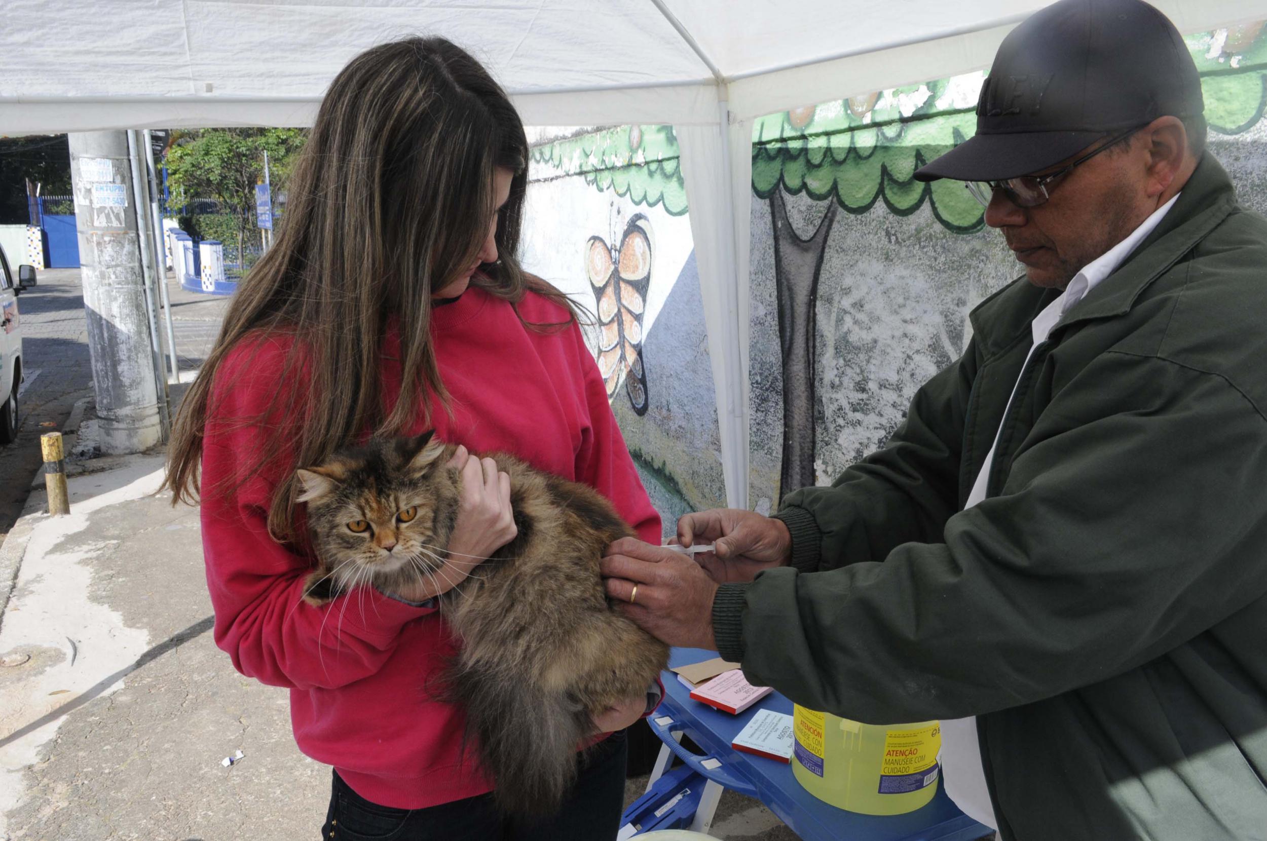 vacinacao-gatos-e-caes-em-guarulhos