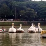 pedalinhos-lago-dos-patos-1
