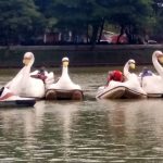 pedalinhos-lago-dos-patos-2