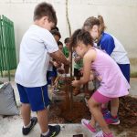 criancas-plantando-arvores (2)