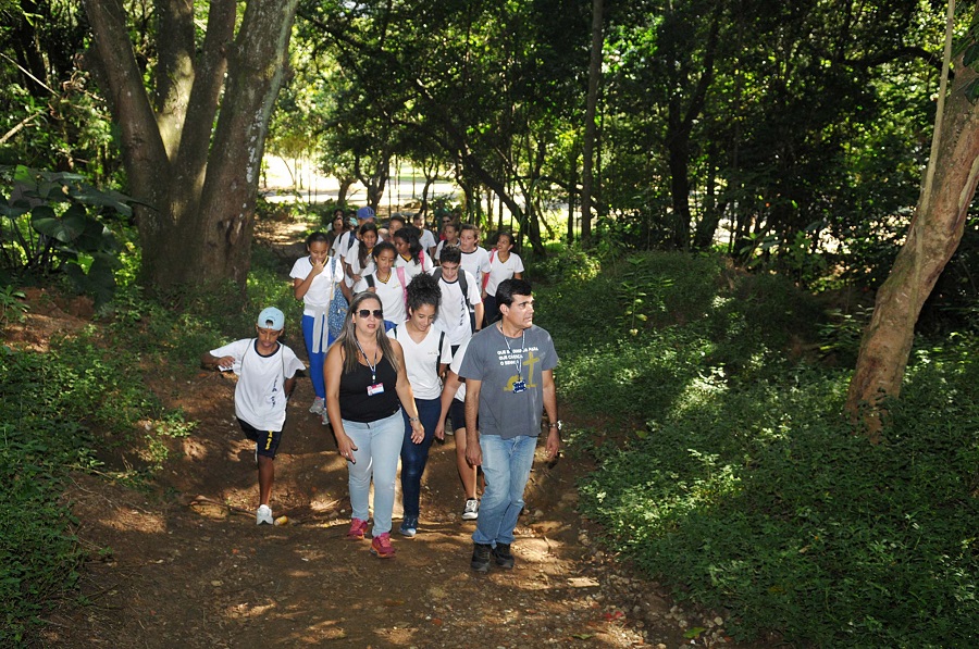 educacao-no-bosque-maia (1)