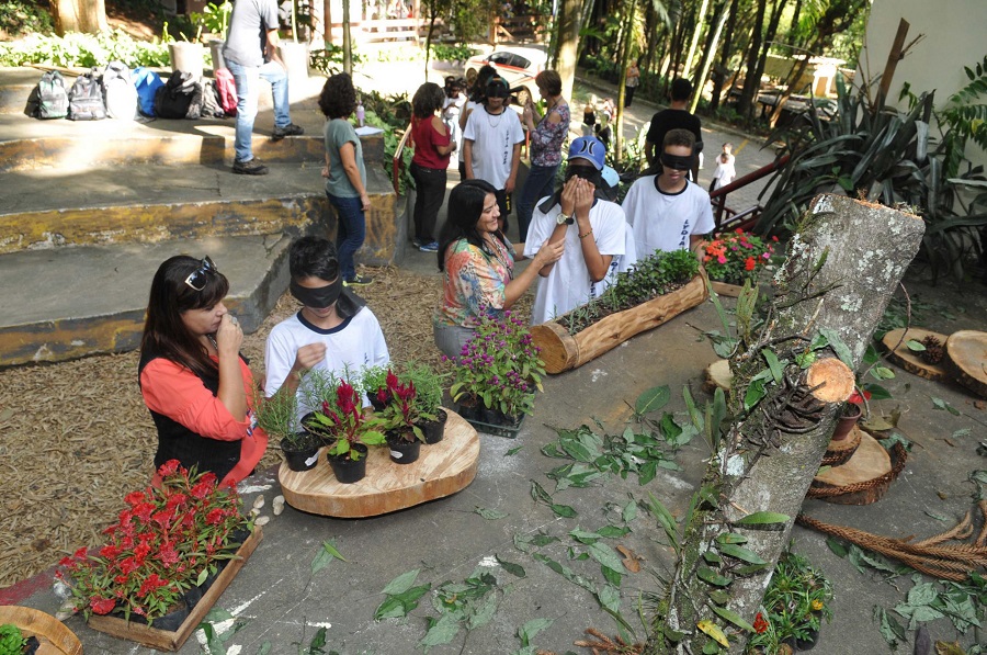 educacao-no-bosque-maia (3)