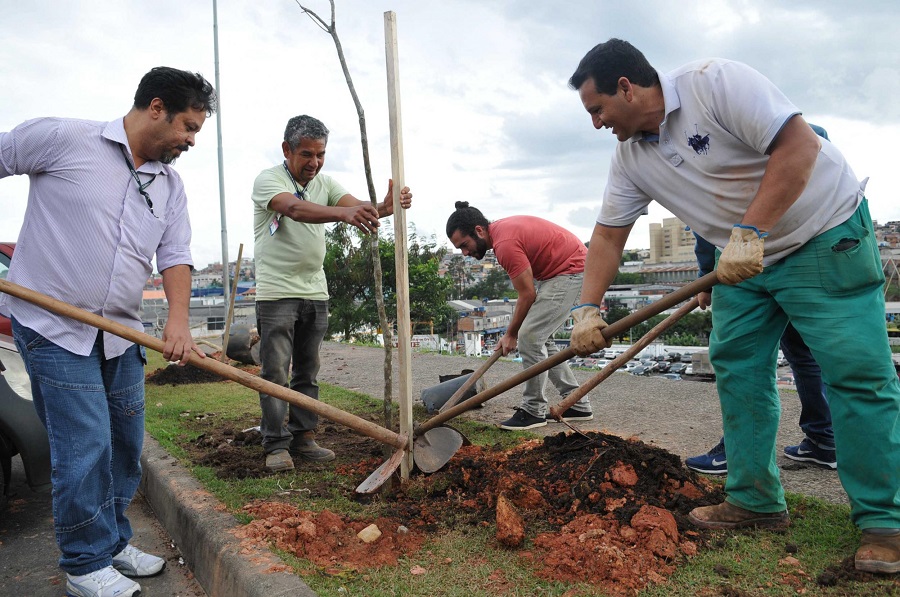 plantio-arvores-em-guarulhos (2)