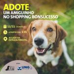 adote-um-amiguinho