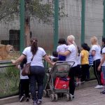 zoo-de-guarulhos-2018 (2)