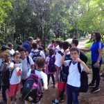 visita-bosque-maia (2)