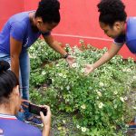 projeto-escola-fotografia-guarulhos (6)