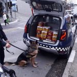 canil-cerveja-guarulhos (3)