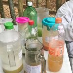 concurso-de-suco (4)