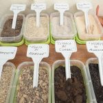 oficina-horta-domestica-guarulhos (1)