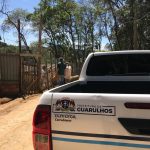 crime-ambiental-bambi (2)