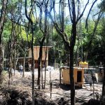 remocao-de-barracos-residencial-bambi (2)