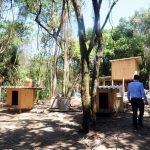 remocao-de-barracos-residencial-bambi (3)