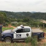 desmatamento-serra-da-cantareira (2)