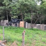 desmatamento-serra-da-cantareira (4)