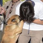 Assunto:Gru Animal 
Local:Bosque Maia 
Data:30/09/2018
Foto Márcio Lino/PMG