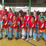 liga-nescau-de-futsal (1)