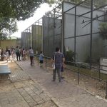 visita-zoo-de-guarulhos (3)