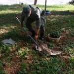 patrulhamento-ambiental-guarulhos (4)