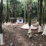 crime-ambiental-em-guarulhos (2)