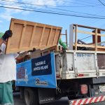 cata-treco-jardim-aracilia (1)
