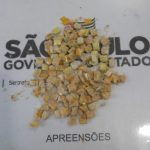 PI DE FRANCO DA ROCHA