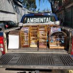 apreensao-de-passaros-guarulhos (1)