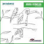 arara-vermelha