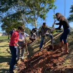 plantas-nativas-adriana-guarulhos (1)