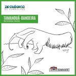 tamandua