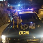 maconha-taboao-guarulhos (1)