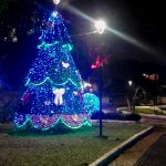 decoracao-natal-lago-dos-patos (2)