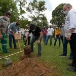 plantio-de-arvores-em-guarulhos (1)