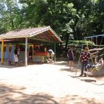 Viveiro-Educador-do-Bosque-Maia (3)
