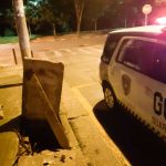 gcm-resgata-gato-em-guarulhos (1)