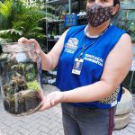 oficina-minijardim-guarulhos (2)