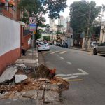 arvores-centro-de-guarulhos (2)