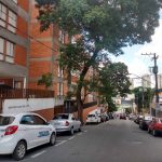 arvores-centro-de-guarulhos (4)