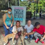 adocao-animais-guarulhos (2)